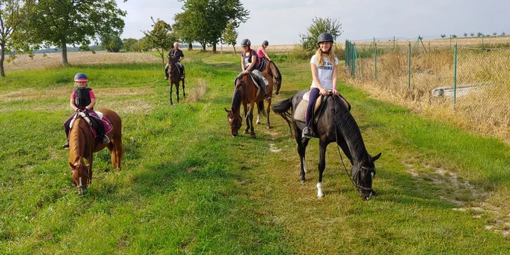 Letní jezdecký tábor pro děti od 7 let: aktivity s koňmi, hry, zábava i výlety