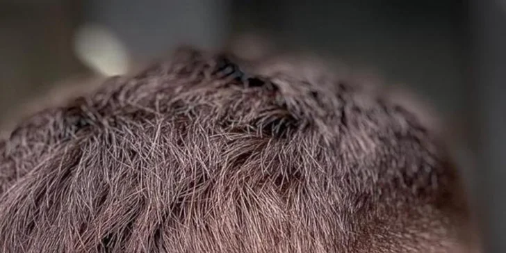 Barber péče: samostatný střih s možností holení nebo úpravou vousů