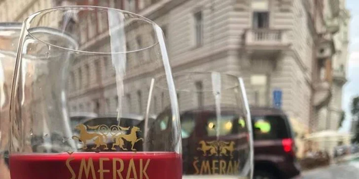 Posezení ve vinárně: 0,5 l vína z rodinného vinařství a občerstvení dle výběru