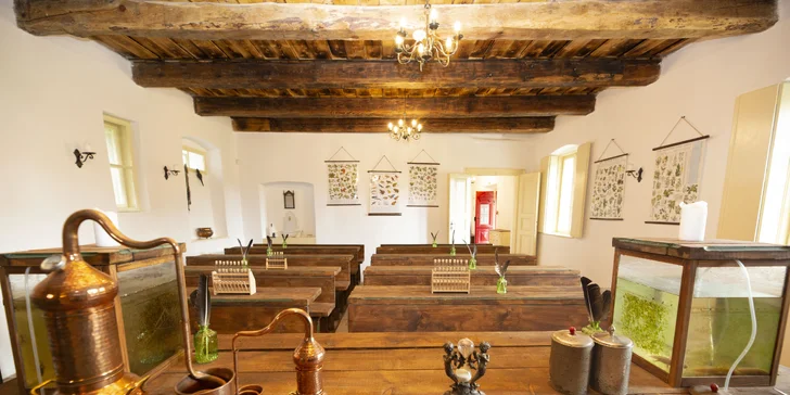 Zábavní areál v Košátkách: muzeum alchymie a perníků, výroba lektvarů i zookoutek