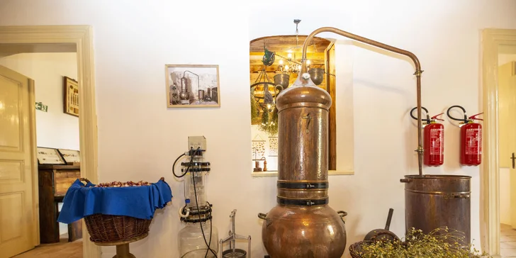 Areál v podzámčí Košátky: muzeum alchymie a perníků, zookoutek i kreativní dílny
