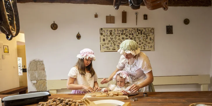 Areál v podzámčí Košátky: muzeum alchymie a perníků, zookoutek i kreativní dílny