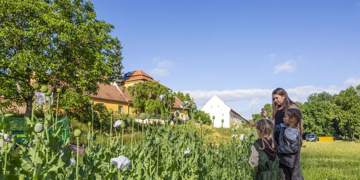 Areál v podzámčí Košátky: muzeum alchymie a perníků, zookoutek i kreativní dílny