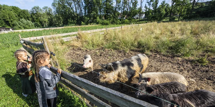 Areál v podzámčí Košátky: muzeum alchymie a perníků, zookoutek i kreativní dílny