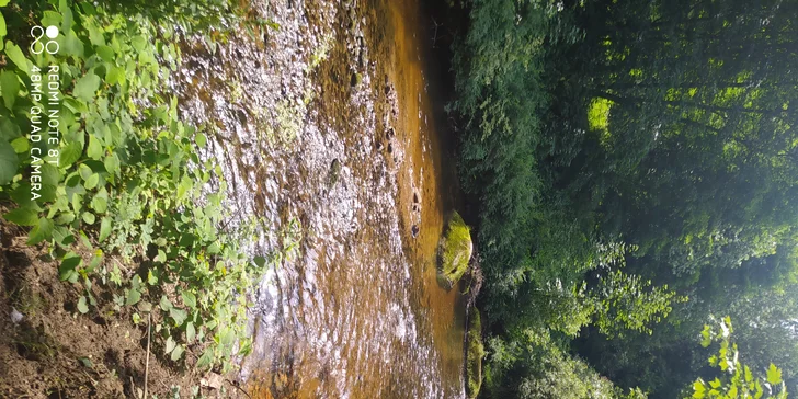 Pohoda pod Tanvaldským Špičákem se širokým zázemím pro děti i dospělé