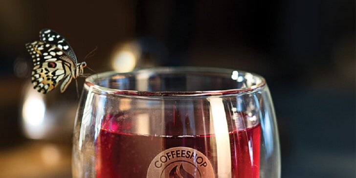 Otevřený voucher do Coffeeshop Company v Galerii Harfa: 250 či 500 Kč na kávu, čaje, limonádu i bagely či dorty