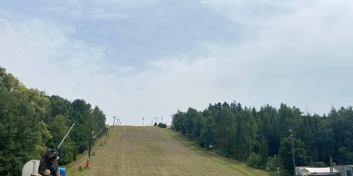 Hranolky sypané sýrem a slaninou pro jednoho i pro dva