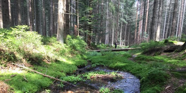 Dovolená v Jeseníkách: zbrusu nový penzion pod Ramzovou, polopenze i sleva do wellness
