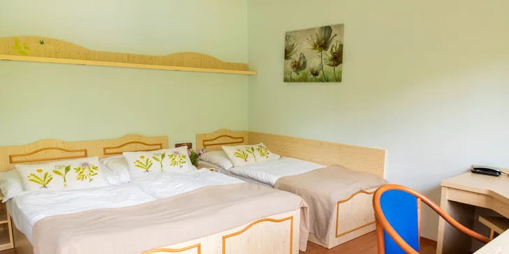 Načerpejte energii uprostřed přírody: relax, romantika i dámská jízda a snídaně či polopenze
