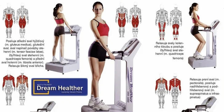 Trénink na vibrační plošině Dream Healther. Výběr z více variant: 2 lekce, 1 cvičení s masáží proti celulitidě nebo permanentka na 10 lekcí!