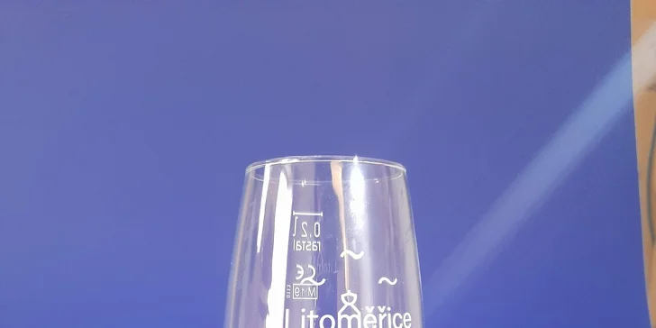 Vstupy do expozice českého vinařství na hradě v Litoměřicích pro 2 osoby a sklenička pro každého