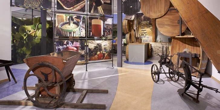 Vstupy do expozice českého vinařství na hradě v Litoměřicích pro 2 osoby a sklenička pro každého