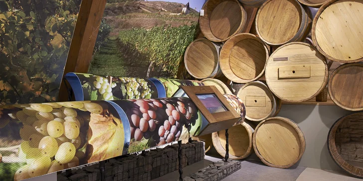 Vstupy do expozice českého vinařství na hradě v Litoměřicích pro 2 osoby a sklenička pro každého