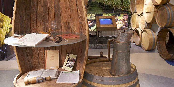 Vstupy do expozice českého vinařství na hradě v Litoměřicích pro 2 osoby a sklenička pro každého