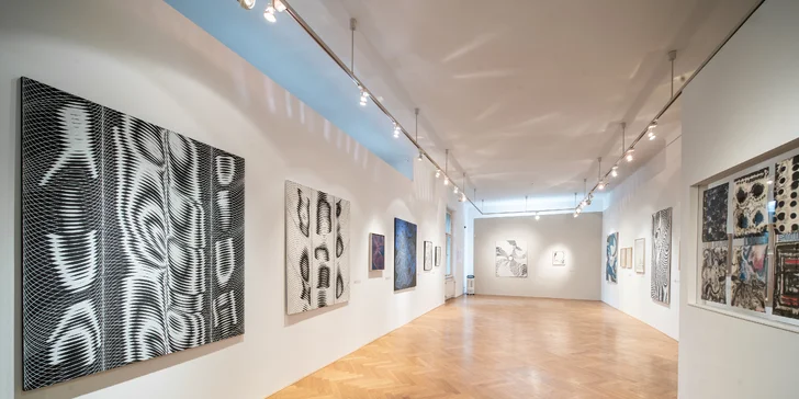 Jednorázový vstup do galerie Villa Pellé pro jednotlivce, páry i rodiny