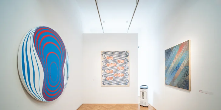 Jednorázový vstup do galerie Villa Pellé pro jednotlivce, páry i rodiny