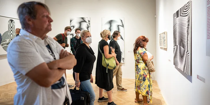 Jednorázový vstup do galerie Villa Pellé pro jednotlivce, páry i rodiny