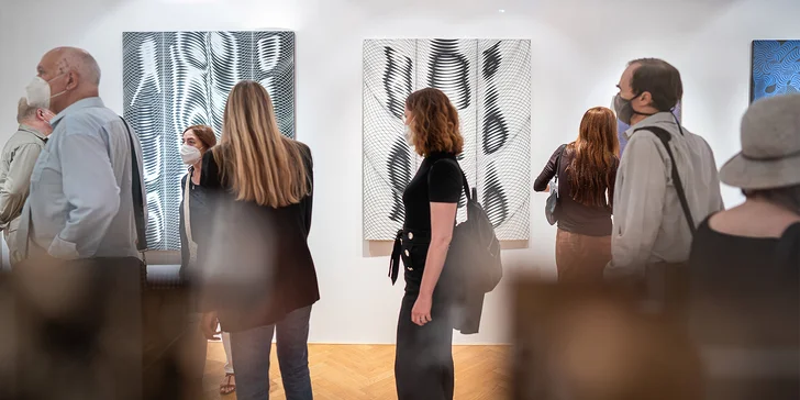 Jednorázový vstup do galerie Villa Pellé pro jednotlivce, páry i rodiny