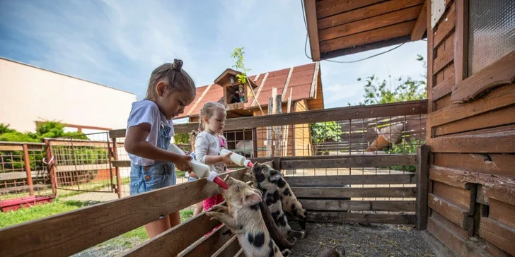 Areál v podzámčí Košátky: muzeum alchymie a perníků, zookoutek i kreativní dílny