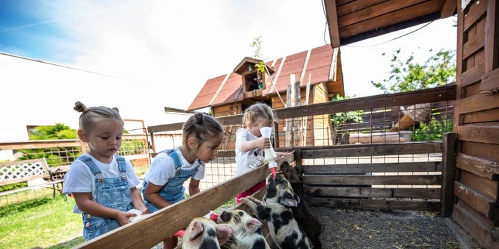 Areál v podzámčí Košátky: muzeum alchymie a perníků, zookoutek i kreativní dílny