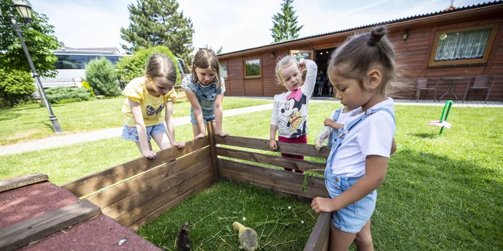 Krmení zvířátek na minifarmě Rodas a výroba svíček pro 1 nebo 2 osoby