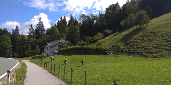 Na kole podél řeky Ybbs až k Dunaji: výlet busem do Rakouska