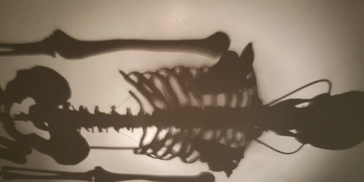 Úniková hra Operační sál, Útěk z ponorky nebo Paleontolog až pro 5 hráčů