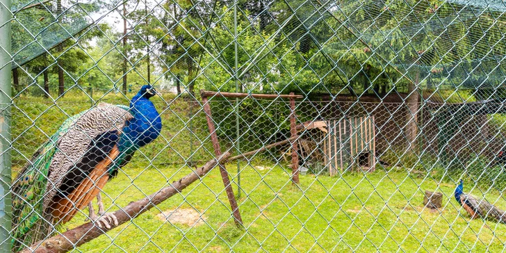 Kouzelná dovolená ve Vysokých Tatrách s polopenzí a neomezeným wellness