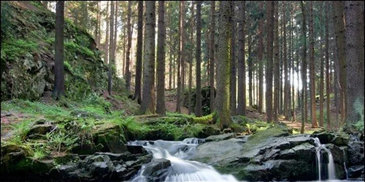 Podzimní wellness pobyt pro dva s polopenzí na 3 dny v srdci Vysočiny