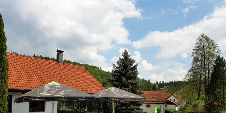 Romantika v přírodě nedaleko Vlašimi: pobyt v Cocoon Tree Bed se soukromou spa terasou