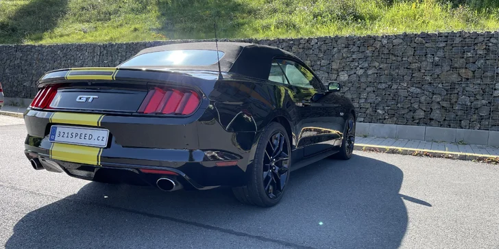 Ford Mustang GT 5.0 V8 Cabrio na 6, 12 či 24 hodin