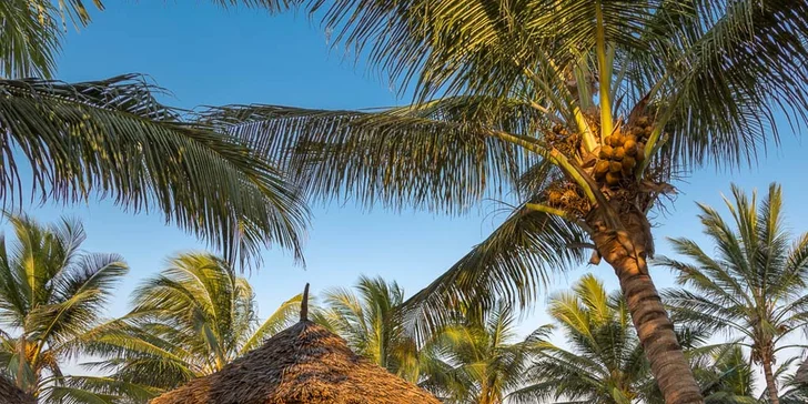 Pohoda na exotickém Zanzibaru: 6–12 nocí ve 4* resortu s all inclusive a bazénem
