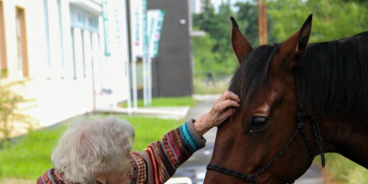 Asistenční jednorožec: přispějte na návštěvy terapeutického koně u seniorů a nemocných lidí