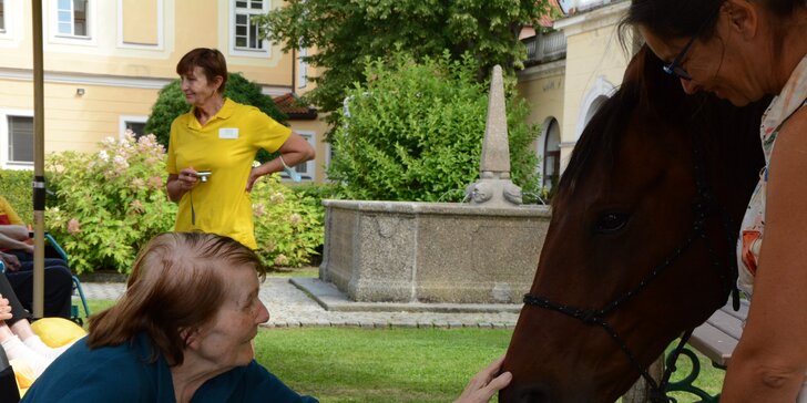 Asistenční jednorožec: přispějte na návštěvy terapeutického koně u seniorů a nemocných lidí