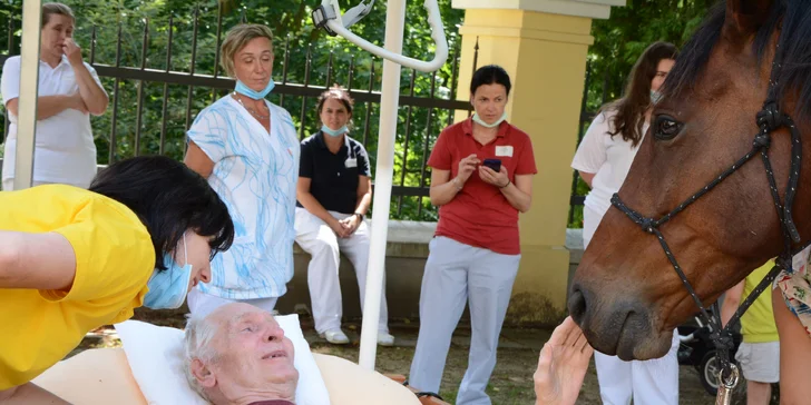 Asistenční jednorožec: přispějte na návštěvy terapeutického koně u seniorů a nemocných lidí