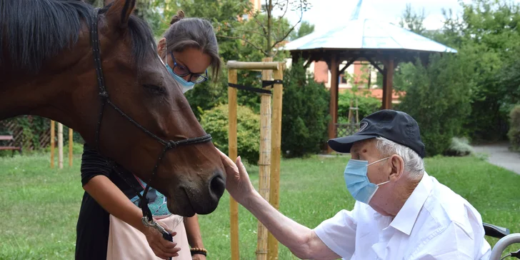 Asistenční jednorožec: přispějte na dopravu terapeutického koně k seniorům a nemocným lidem