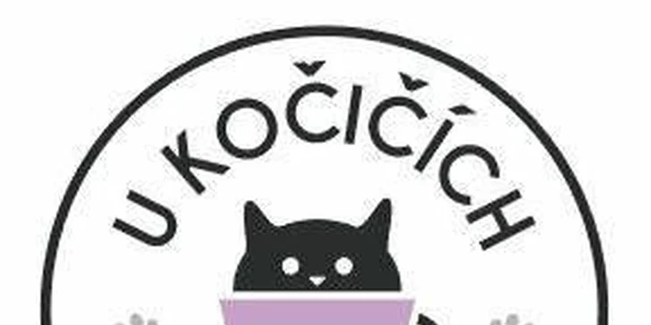Domácí palačinky a pečený čaj nebo limonáda pro 1 i 2 osoby v kočičí kavárně