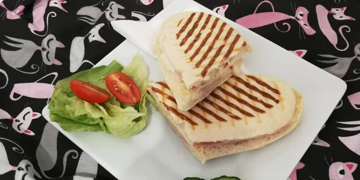 Kočičí kavárna v Kladně: panini nebo croissant s domácí limonádou