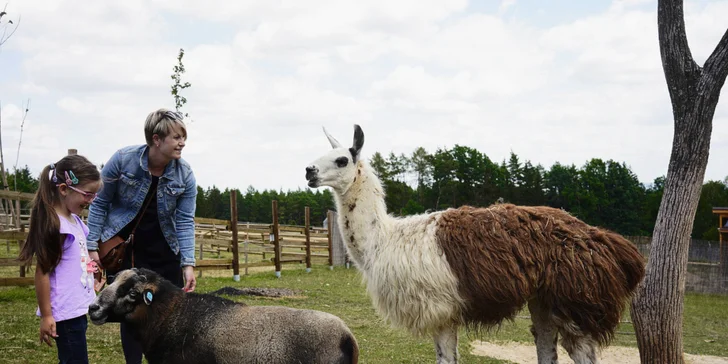 Zvířátka od ar po zubry: vstupné do zoologické zahrady v Táboře