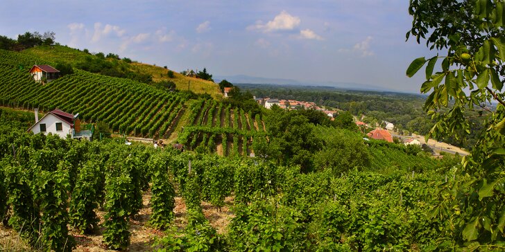 Pobyt v maďarské oblasti Tokaj: polopenze a adrenalinový park či degustace vína