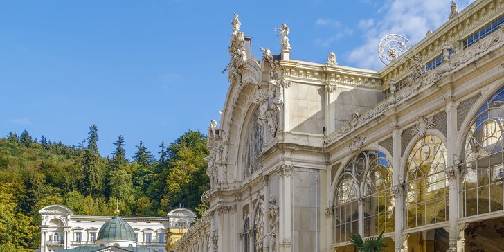 Pobyt v butikovém hotelu kousek od parku a léčivých pramenů: jídlo a wellness