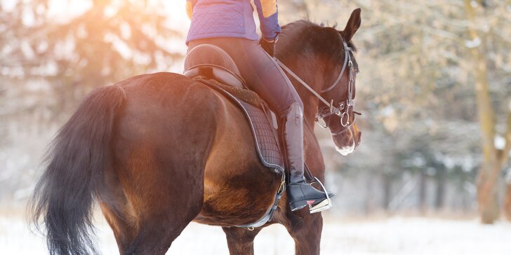Výuka jízdy na koních: 1 až 10 hodin v sedle pod dohledem trenéra