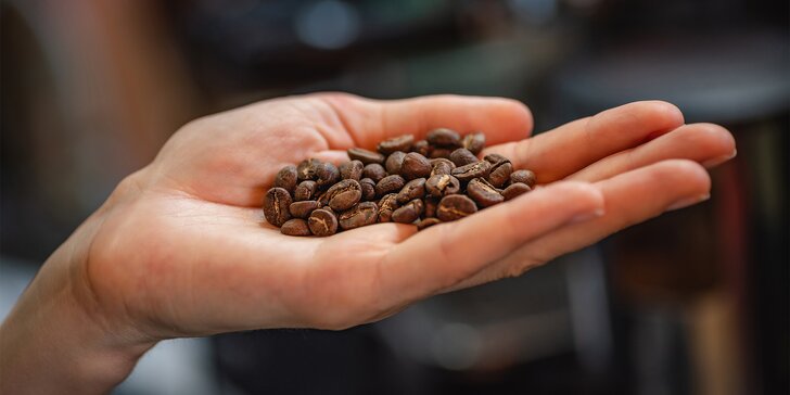 Domácí barista: teoretický i praktický kurz s degustací pro vášnivé kávomily