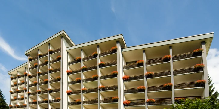 Dovolená v Bavorském lese: 3* hotel s polopenzí a neomezeným wellness
