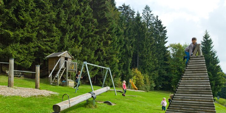 Dovolená v Bavorském lese: 3* hotel s polopenzí a neomezeným wellness