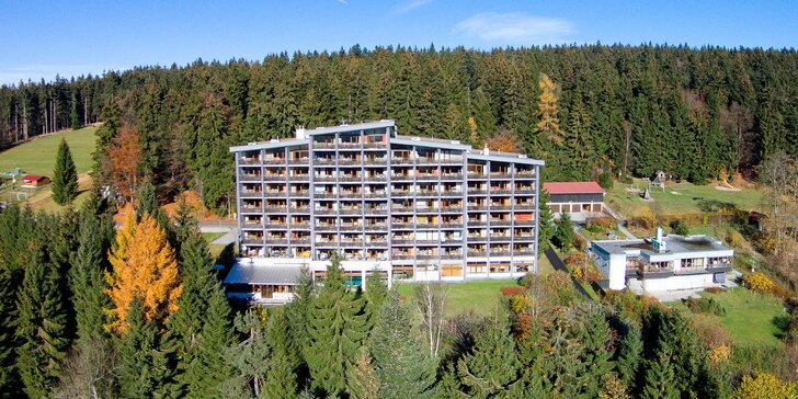 Dovolená v Bavorském lese: 3* hotel se snídaní a neomezeným wellness