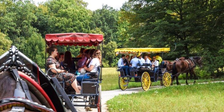Skvělá dovolená v Lednici: polopenze, víno i jízda kočárem zámeckým parkem