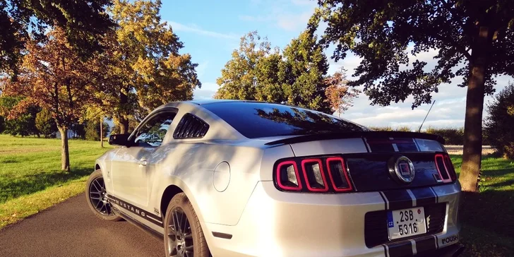 Upravený Ford Mustang: 30 nebo 60 min. řízení, až 2 pasažéři zdarma