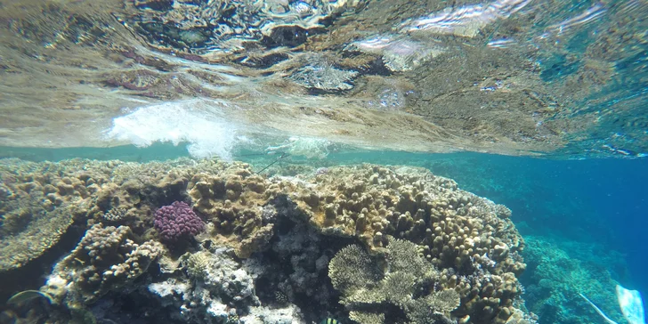 Komplexní potápěčský kurz pro začátečníky se školou Enjoy diving
