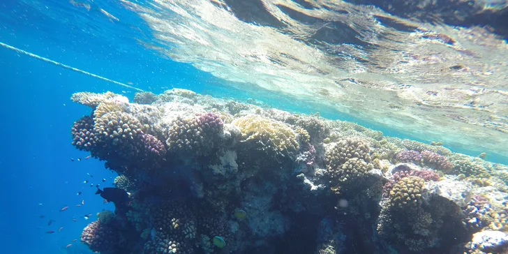 Komplexní potápěčský kurz pro začátečníky se školou Enjoy diving